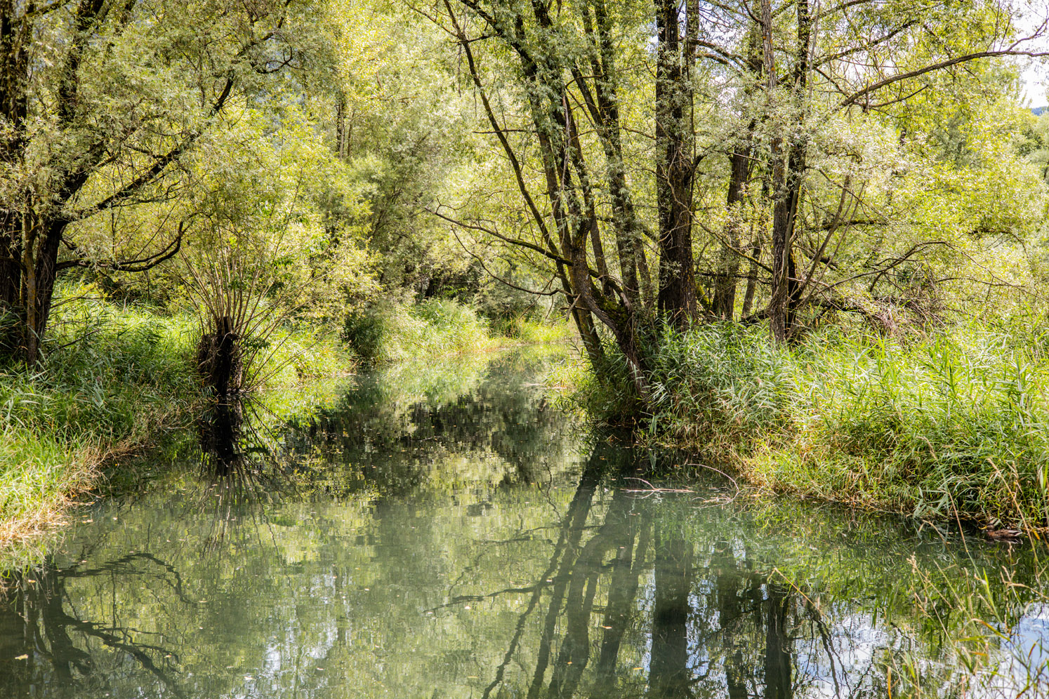 Riserva Naturale del Marais la Salle