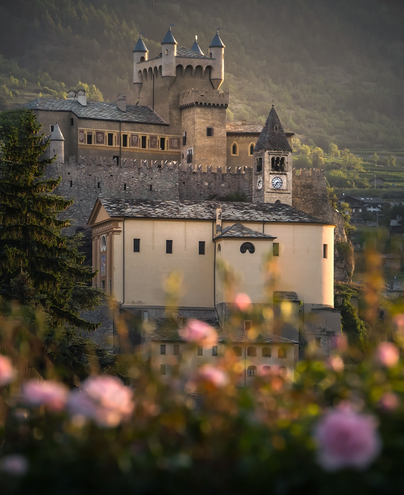 castello di saint Pierre Emiliano Roba @eminature